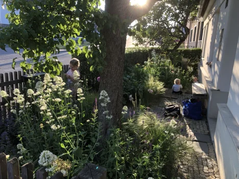 IMG_7757 ve velké velikosti.jpeg