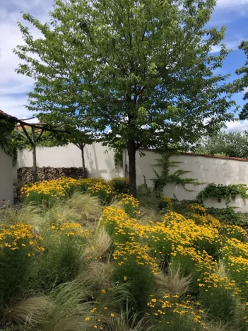 IMG_1007 (1) ve velké velikosti.jpeg