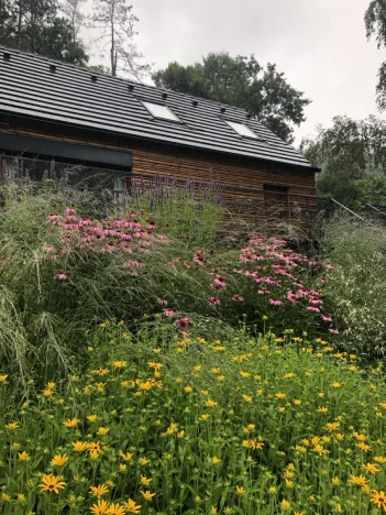 IMG_1318 ve velké velikosti.jpeg